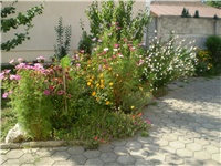4c3e2d96-Picture 6311.jpg